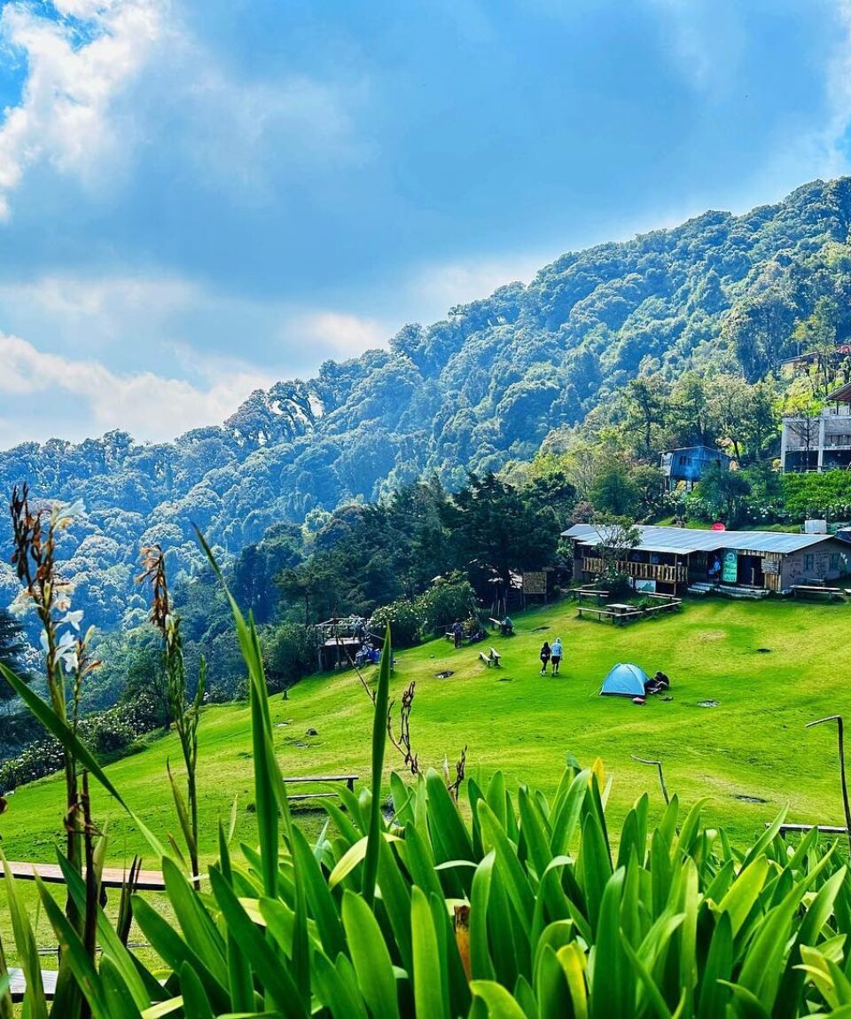 WhatsApp Image 2025-03-24 at 10.29.27 AM